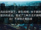 风向突然变了，新91视频 - 关于跳转提示的说法，我试了三种方法才搞明白！不排除还有后续