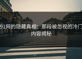 91网的隐藏真相：那段被忽视的冷门内容揭秘