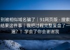 别被相似域名骗了｜91网页版 - 搜索结果这件事｜我把过程完整复盘了一遍？！学会了你会谢谢我