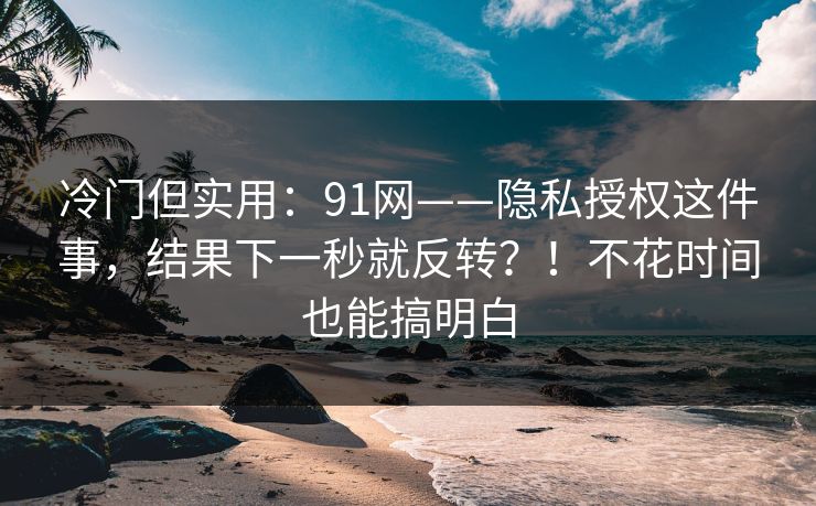 冷门但实用：91网——隐私授权这件事，结果下一秒就反转？！不花时间也能搞明白