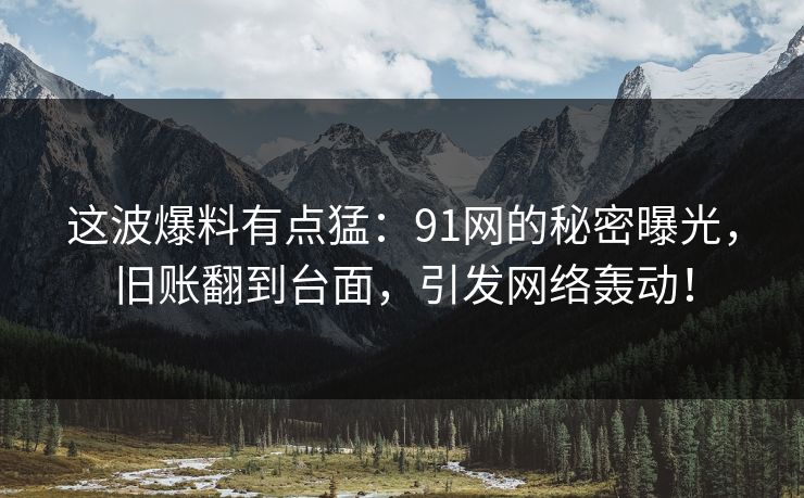 这波爆料有点猛：91网的秘密曝光，旧账翻到台面，引发网络轰动！