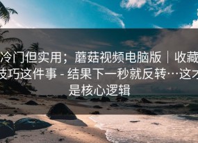 冷门但实用；蘑菇视频电脑版｜收藏技巧这件事 - 结果下一秒就反转…这才是核心逻辑