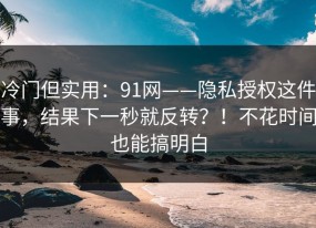 冷门但实用：91网——隐私授权这件事，结果下一秒就反转？！不花时间也能搞明白