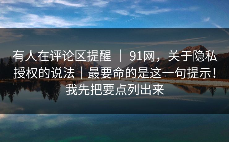 有人在评论区提醒 ｜ 91网，关于隐私授权的说法｜最要命的是这一句提示！我先把要点列出来